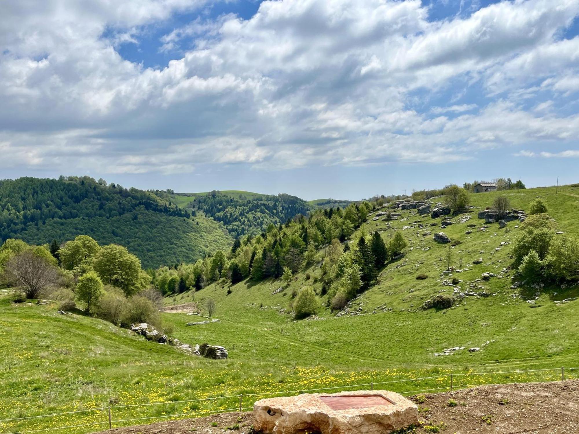 Agriturismo Malga Rambalda Villa Selvavecchia Dış mekan fotoğraf