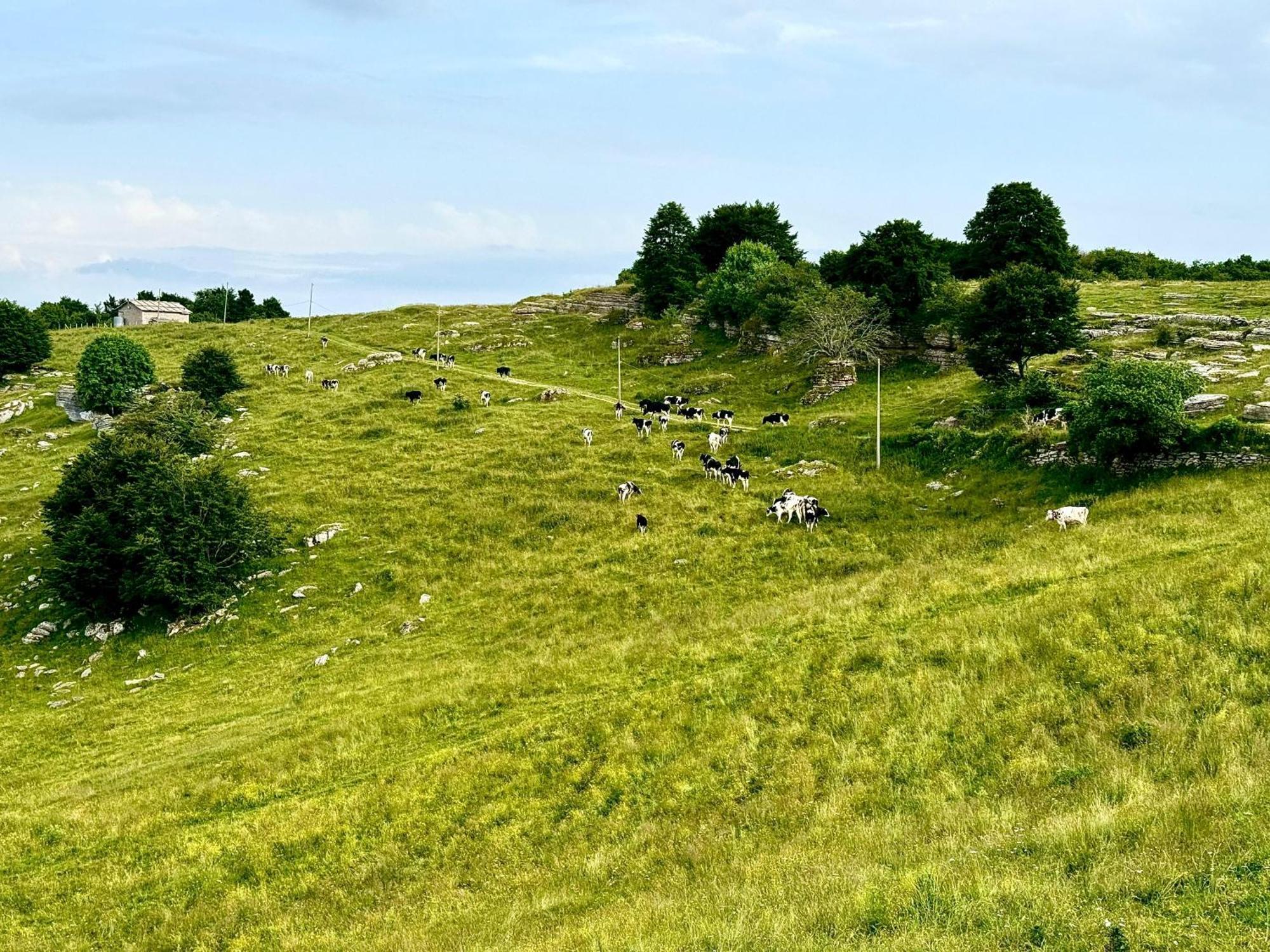 Agriturismo Malga Rambalda Villa Selvavecchia Dış mekan fotoğraf